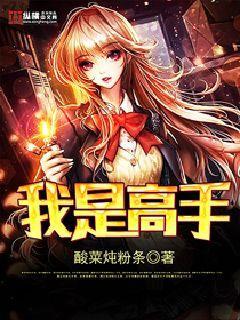 我是高手全集观看