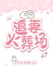 追妻火葬场免费无弹窗