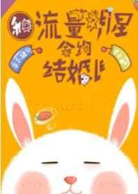 和流量明星合约结婚了全文