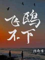飞鸥不下结局是he还是be