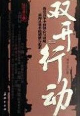 老百姓说的双开是什么