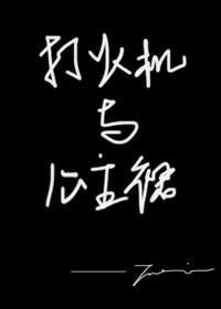 打火机与公主裙啊