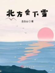 北方会下雪的英文