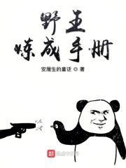 野王炼成手册百度