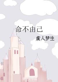 命不由己身不由人歌曲