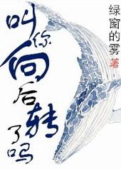 向后转后是什么意思