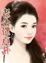老公你真坏TXT