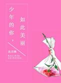 少年的你如此美丽番外