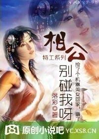 相公宠妻无下限王牌特工妃