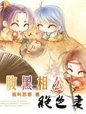 腹黑相公宠不停免费阅读完本
