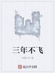 三年不翅不飞不鸣此为何名的意思