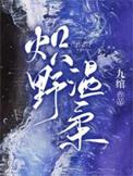 炽野温柔九绾讲的什么