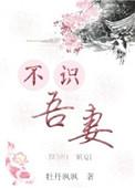不识吾子奚以知之的翻译