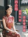 四合院从1965崛起免费阅读