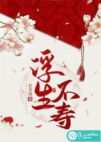 浮生不休歌词的意思