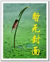 天价婚约电视剧