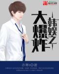 韩娱之大成
