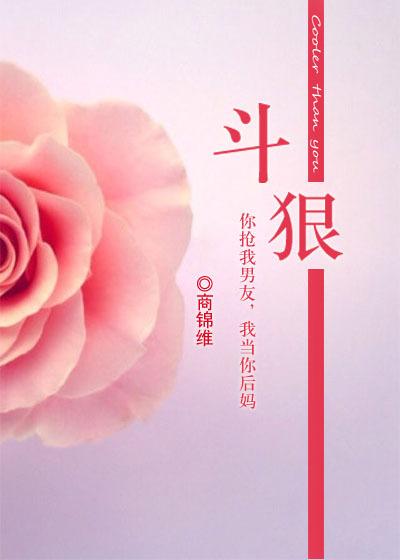 斗狠商锦维免费阅读