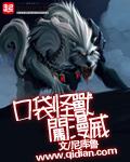 口袋怪兽动漫