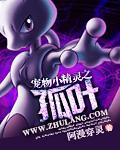 宠物小精灵之我