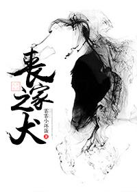 丧家之犬楚天免费阅读