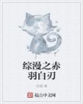 综漫之天羽