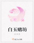 白玉坊53度清香型475ml图片