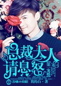 第一婚宠总统大人的心尖宠