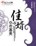 佳婿的意思