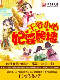 王爷小心宠