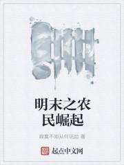 明末农场系统