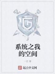系统空间之宠妾