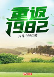 重返1982夜流川免费阅读