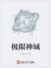 极限神域设定