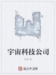 宇宙厂是哪个互联网公司