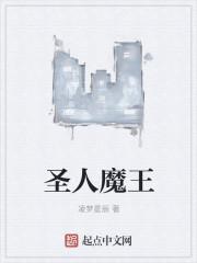 魔化圣人