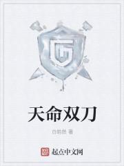 天命之子双刃是啥